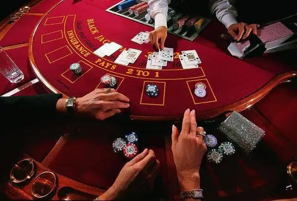 8855bet8